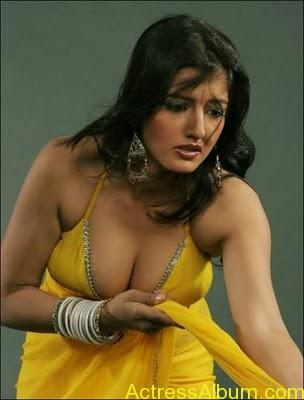 actressalbum-com-south-indian-masala-actress-cleavage-and-navel-exposing-hot-gallery1